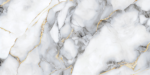 1030 GOLD INSERT PORCELAIN RECTIFIED 60X120