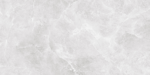 AMBITION SILVER PORCELAIN RECTIFIED 60X120