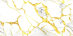 VINCI GOLD PORCELAIN RECTIFIED 60X120
