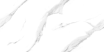 CORALITO CARRARA PORCELAIN RECTIFIED 60X120 - imagine 3
